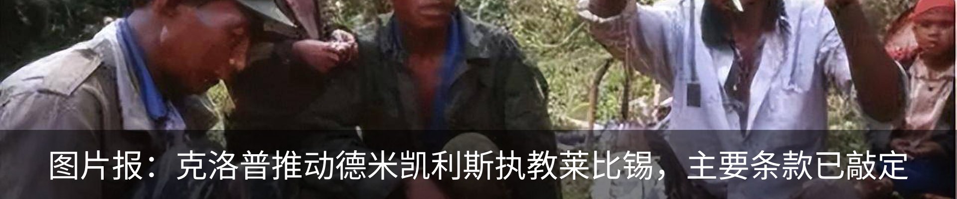 最新动态