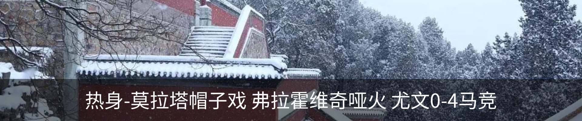 最新动态